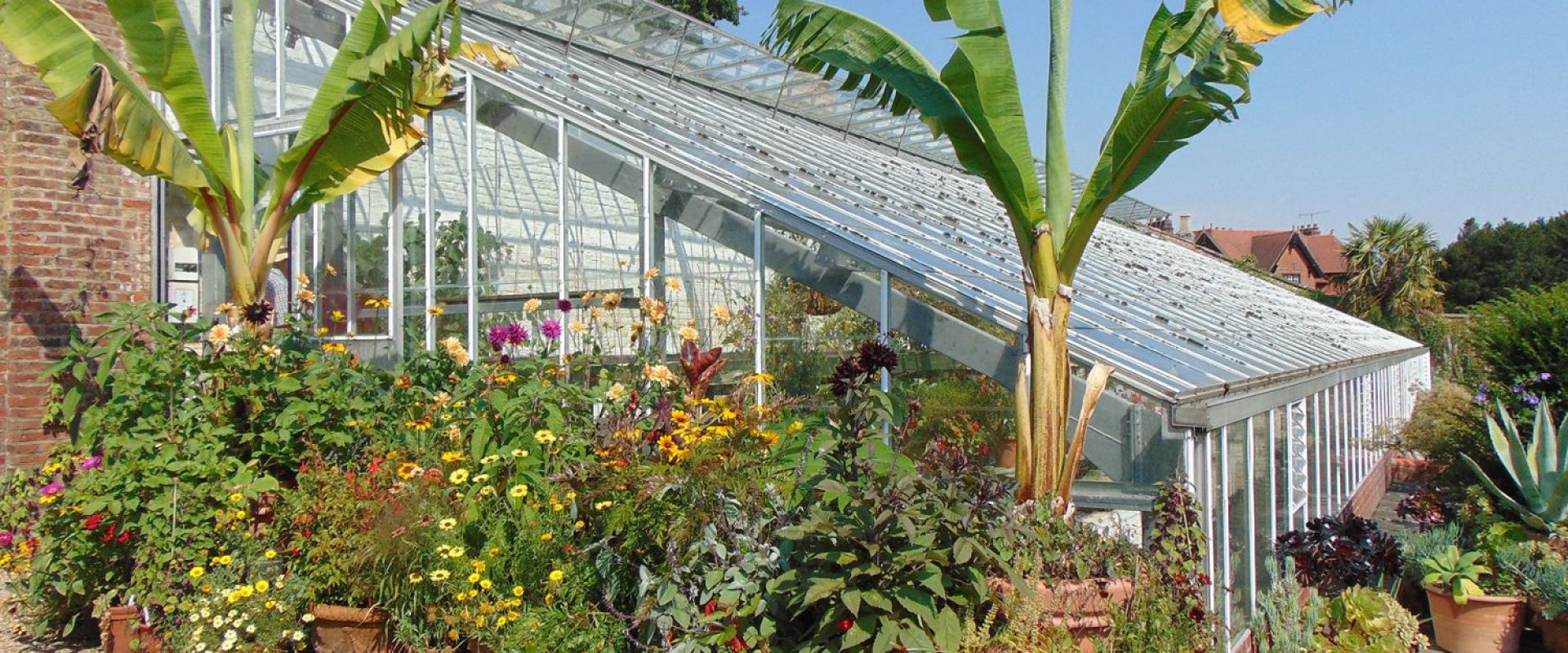 A white-framed glass greenhouse stands behind palm trees and colourful flowers.