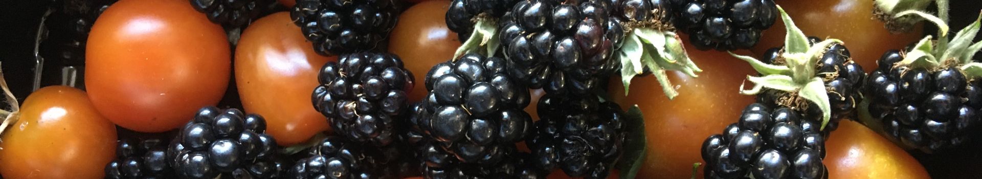 Blackberries and tomatoes