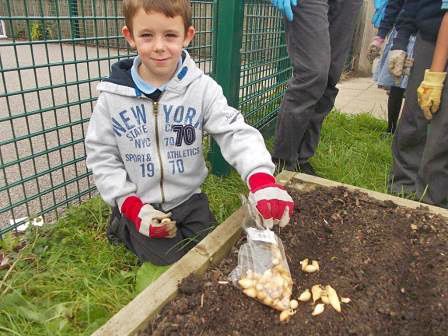 A school child poses with a bag of seeds next to a raised bed.