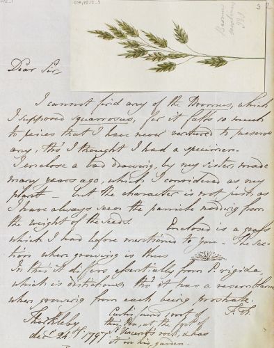 Letter from Sir Thomas Frankland