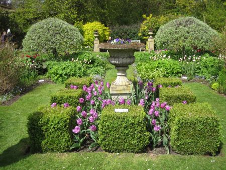 Tulips at Constable Burton