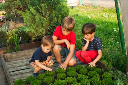 Three children kneel and touch plants in pots on wooden decking.