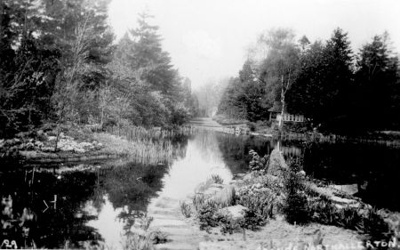 Figure 6. Looking from the rock garden pond towards the house along a lawned alley.