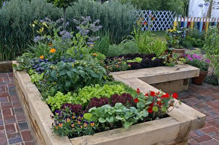An 'L'-shaped raised bed on a brick floor contains a variety of plants.
