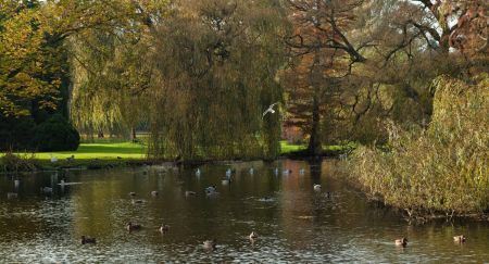 Thwaite Hall gardens. Photo Paul Lakin (CC BY 3.0)