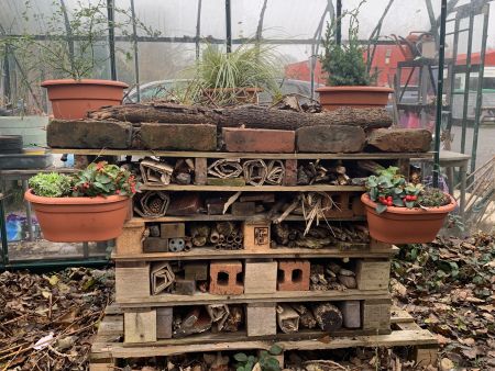 Bug Hotel