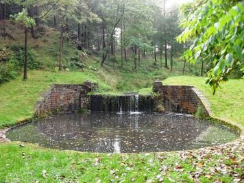 Woodland area with circular pons and waterfall