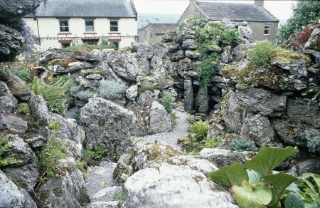 Aysgarth Rock Garden, 2003. Photo: Val Hepworth