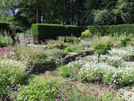 Harrogate Flower Show
