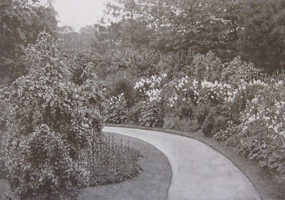A black and white photograph of a path leading through a garden.
