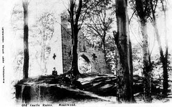 A black and white photograph showing a ruined tower in woods.