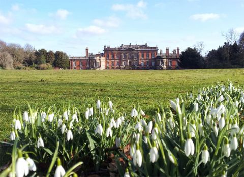 The stately home of Wentworth Woodhouse stands surrounded by trees with snowdrops in the foreground.