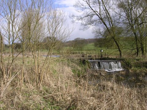 Londesborough Park