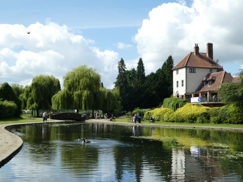 Lake at Rowntree Park