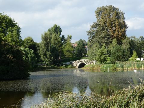 View across the lake of the park and house at Cusworth