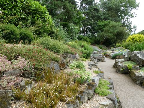 Photo of the rock garden & plants at Burnby Hall rock garden