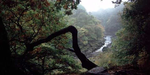 The High Strid at Bolton Abbey, ©Patrick Eyres