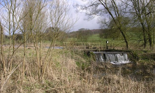 Londesborough Park