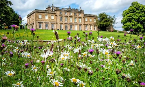 Colour image of Cannon Hall and green lawns with flowers in front