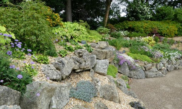 Photo of the rock garden & plants at Burnby Hall rock garden