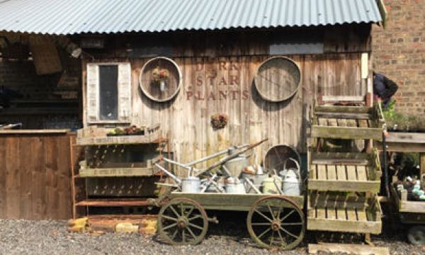 Dark Star Plants Nursery