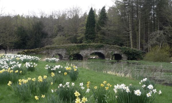 Hornby Castle