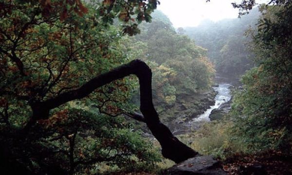 The High Strid at Bolton Abbey, ©Patrick Eyres