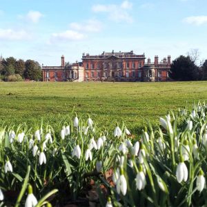 The stately home of Wentworth Woodhouse stands surrounded by trees with snowdrops in the foreground.