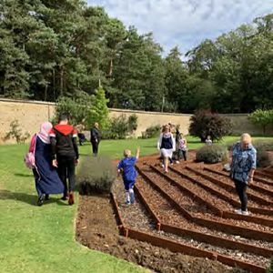 People explore a maze inside a walled garden.