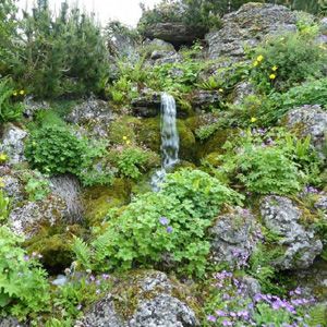 A small waterfall flows at the back of a rocky garden.