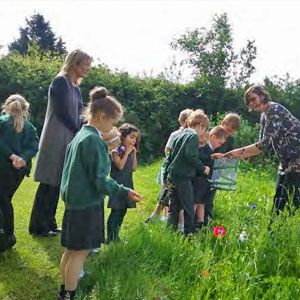 Schoolchildren in a garden undertake activities.