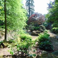 Grantley Hall japanese garden, 2017. Photo Louise Wickham