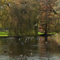 Thwaite Hall gardens. Photo Paul Lakin (CC BY 3.0)