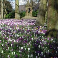 Shroggs Park. Photo © Paul Glazzard (cc-by-sa/2.0)