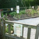 A garden area with gravel paths and borders with plants. A wooden gate stands in the foreground.