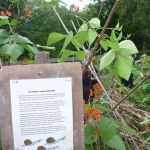 A close-up of a printed information sign on a wooden post.