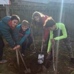 Children help plant an apple tree.