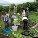 School children help tend a garden.