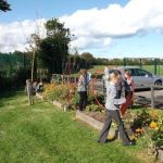 School children help tend a garden.