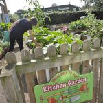 A few across a kitchen garden with a wooden fence in the foreground