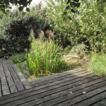 A view of a corner of a garden with wooden decking.