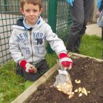 A school child poses with a bag of seeds next to a raised bed.