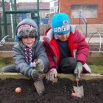 School children dig holes for bulbs in a raised bed.