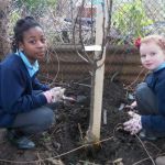 School children kneel next to a recently-planted tree.