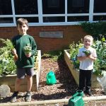 Ingleby Greenhow veg patch