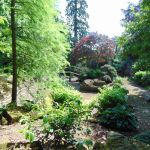 Grantley Hall japanese garden, 2017. Photo Louise Wickham