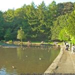 Forge Dam at Porter Valley parks. Photo © DAVID M GOODWIN (cc-by-sa/2.0)