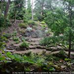 Whinfell Quarry gardens. Photo © steven ruffles (cc-by-sa/2.0)