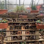 Bug Hotel